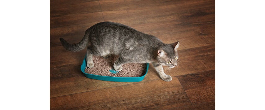 Litter Boxes and Accessories